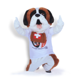 img-mascotte-l-ptit-valaisan-001